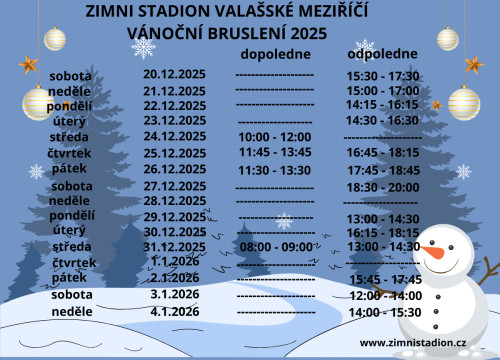 Vánoční bruslení 2025